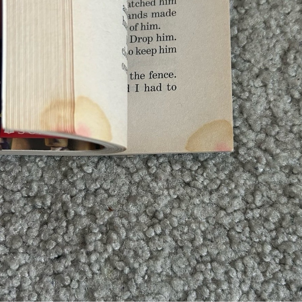Goosebumps Horrorland Boxed Set Thirteen Tales of Terror: R.L. Stine (Paperback) - Picture 8 of 12